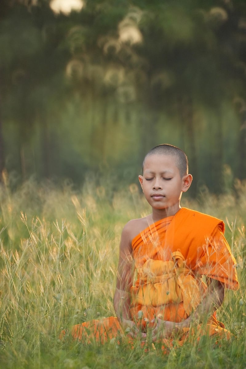 Contemplation
